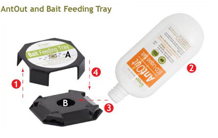 Antout and Bait Feeding Tray