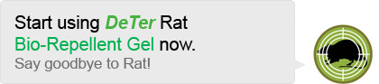 Start using DeTer Now! Say goodbye to Rat!